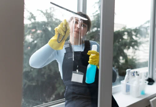 Nettoyage de vitres intérieures et extérieures à Viennay